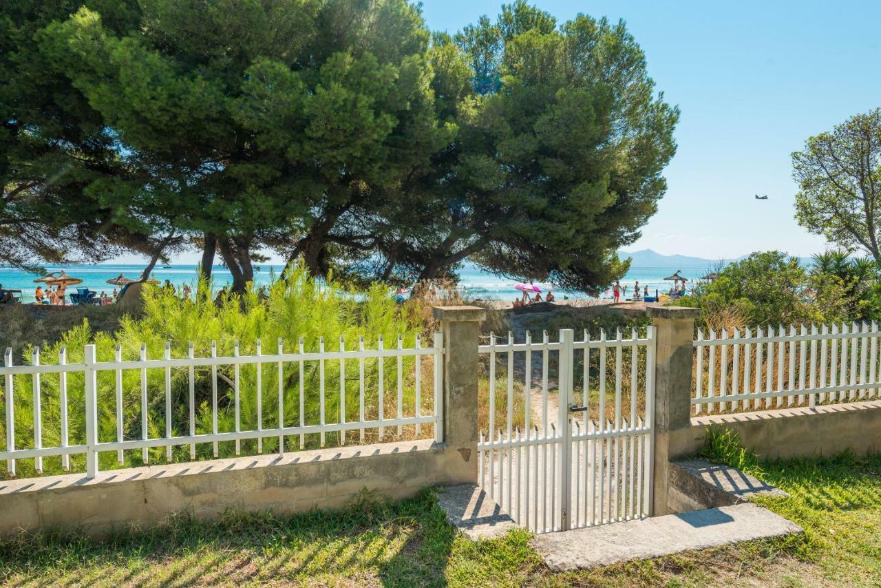 Sun Of The Beach, Vacaciones En La Playa De Alcudia *